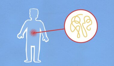 Helicobacter pylori išlieka nepaisant antibiotikų