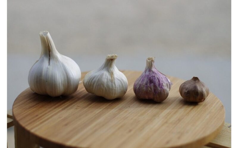 pagelbėti česnakui užpildyti skilteles