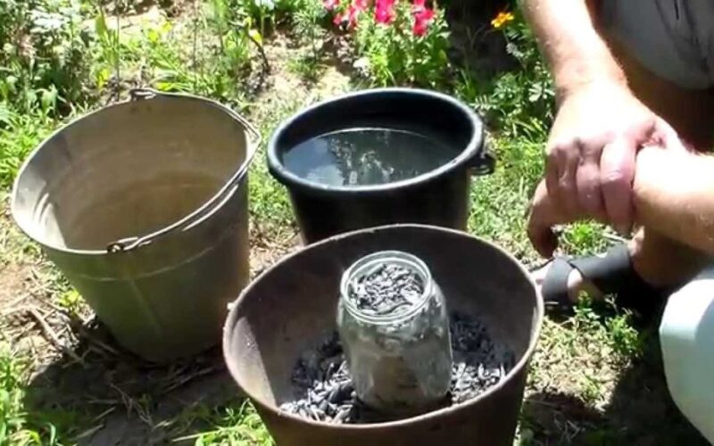 namų gamybos natūralios trąšos tradicijos