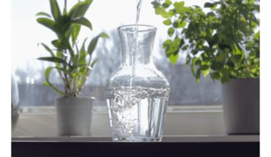 namų augalų atgaivinimas su tabletėmis