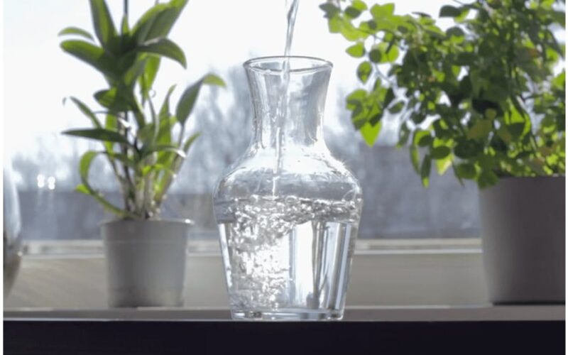 namų augalų atgaivinimas su tabletėmis