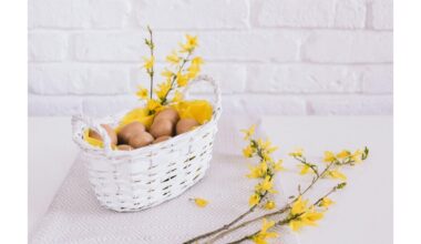 Aukoti plauc ana kaip pavogti