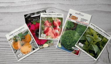 hibridinės arba paveldėtinės sėklos