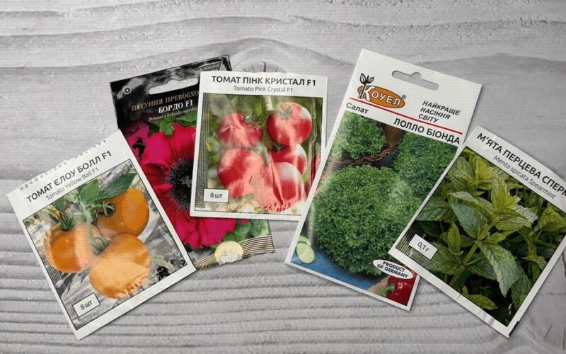 hibridinės arba paveldėtinės sėklos