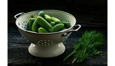 drėkinantys vėžį kovojantys agurkai