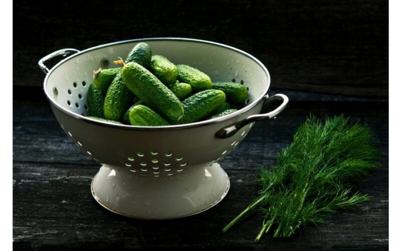 drėkinantys vėžį kovojantys agurkai