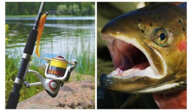 Aš negaliu suspėti