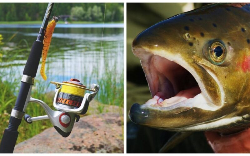 Aš negaliu suspėti