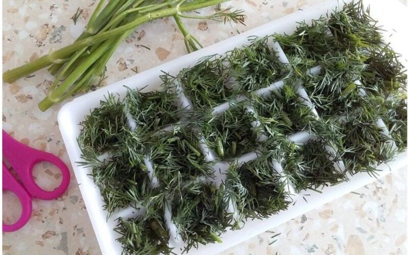 Aš užšaldau žoles trimis žingsniais