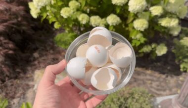 Aš pigiai naikinu šliužus