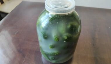 išmokau šį triuką