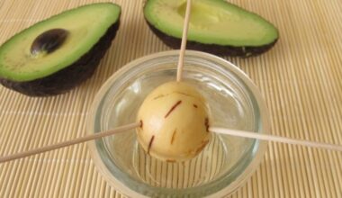 Aš pasodinau avokadą