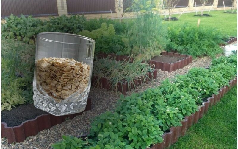 aš išbarščiau grūdus dirva pagerėjo