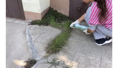 Aš laistau žaliąsias teritorijas