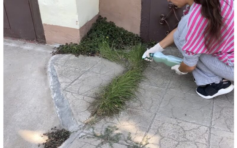 Aš laistau žaliąsias teritorijas