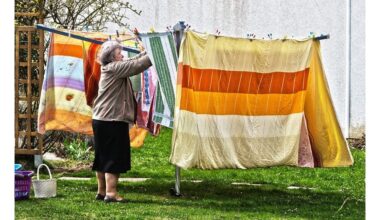 nustato aplaidžius namų ūkio įpročius