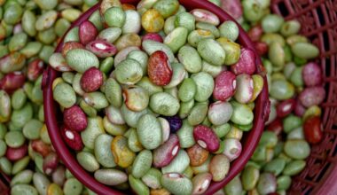 inkstų sveikata ir jaunatviškumas