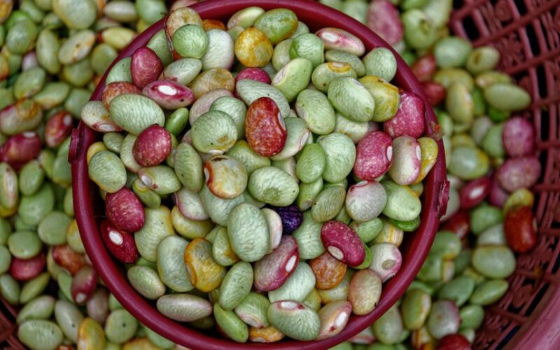 inkstų sveikata ir jaunatviškumas