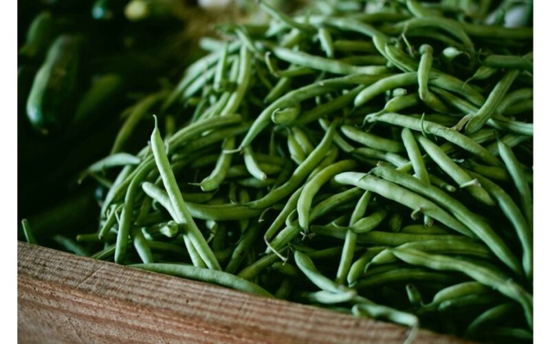 mažos širdies saugotojos pupelės