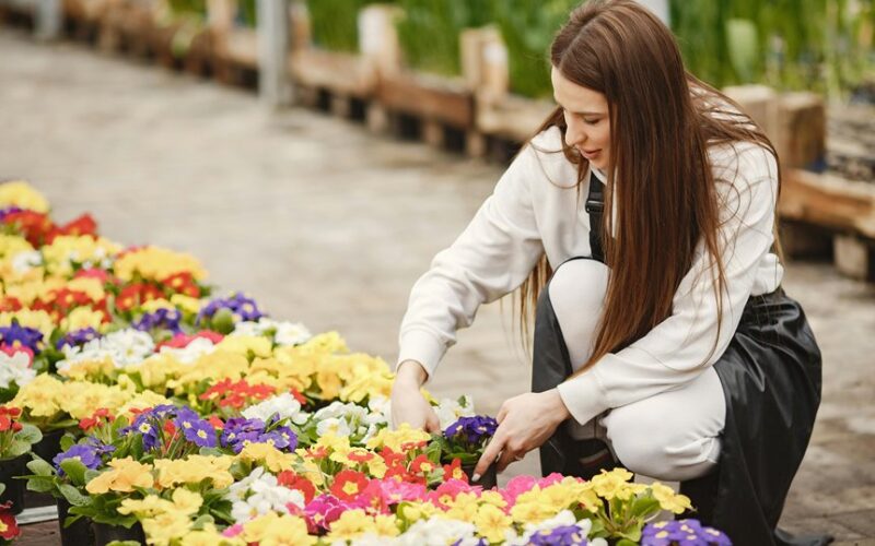 mažai priežiūros reikalaujantys sodo žydintys augalai