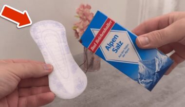 prabangus kvapnus naminis oro gaiviklis