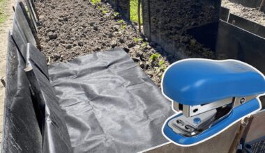 vyras išsprendė žolės problemą