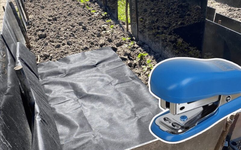 vyras išsprendė žolės problemą