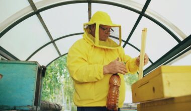 manukų medus natūralus antibiotikas