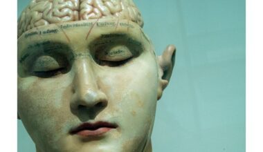 vyrų smegenys sensta greičiau