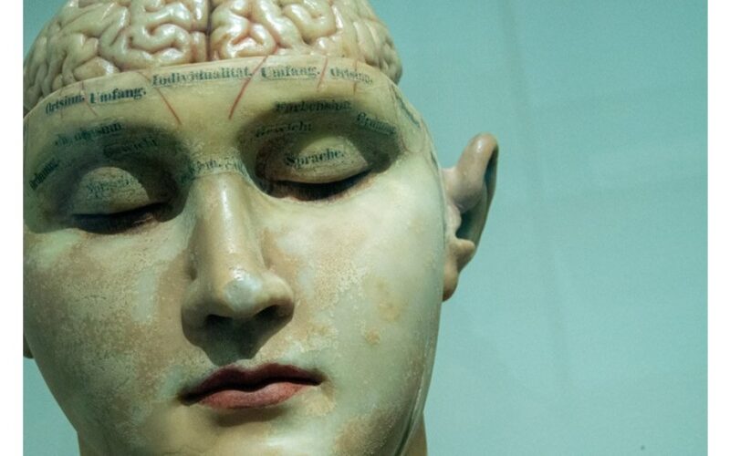 vyrų smegenys sensta greičiau