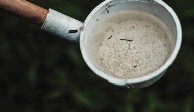 sumaišykite vandenį su šiuo skysčiu