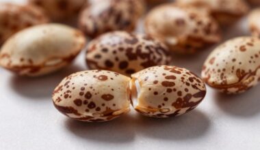 populiariausias 2025 m. augalas