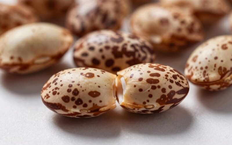 populiariausias 2025 m. augalas