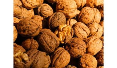 mama taip pat lakuodavo stalus