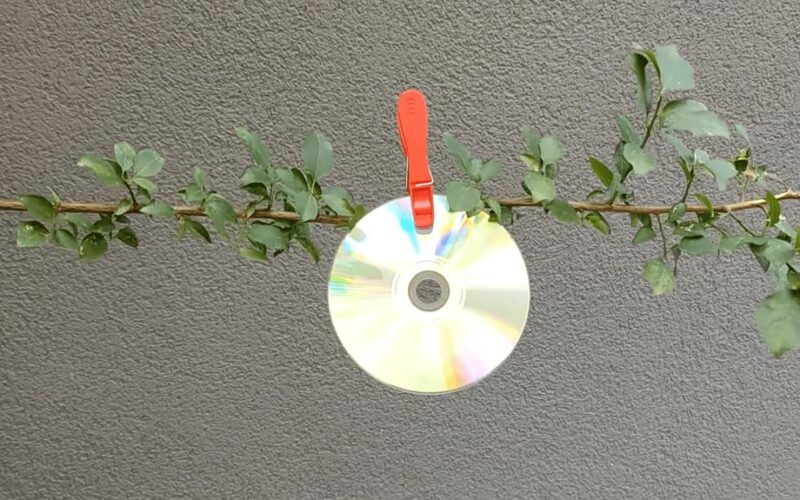 perkėliau viktoro pavliko įrašus į sodą