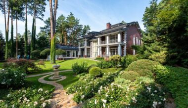 tvarkingas kiemas atrodo chaotiškas