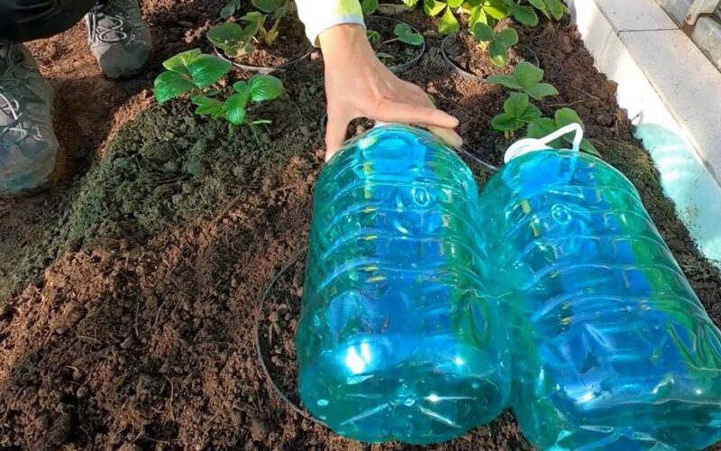 kaimynas nuolat prašo vandens, aš pradėjau kabinti butelius