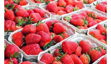 kaimyno močiutė rekomenduoja skystą plieną