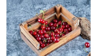 kaimyno slaptas vyšnių auginimo metodas