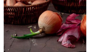 niekada nevalgyk supelijusių svogūnų