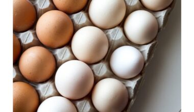 virti kiaušiniai be luplės