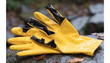 sena pirštinė tampa lobiu