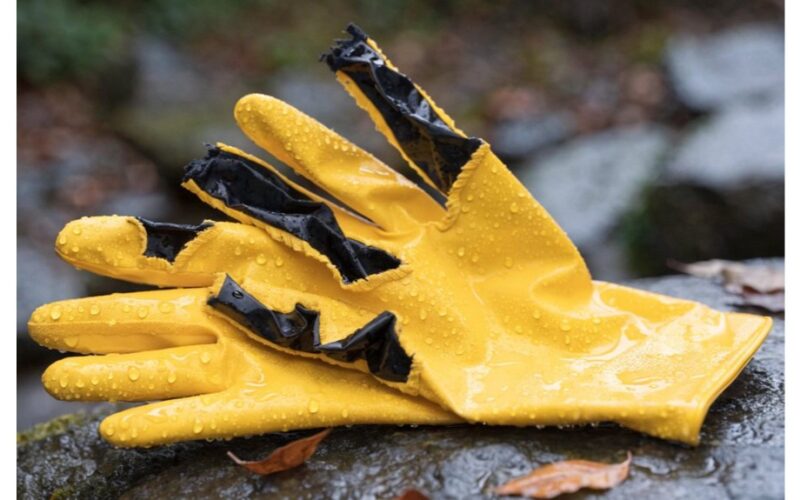 sena pirštinė tampa lobiu