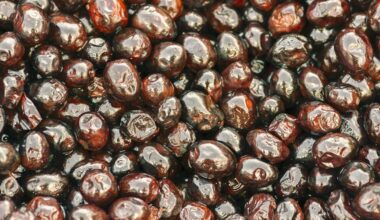 alyvuogės gerina širdies sveikatą