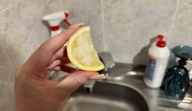 vienas citrina žiupsnelis druskos