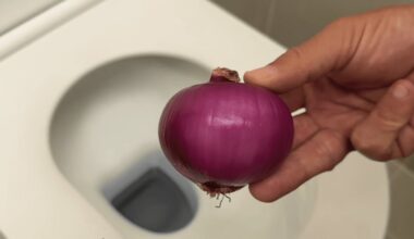 svogūno galva valo ir gamina maistą