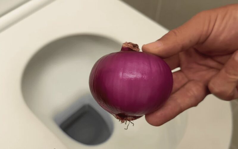 svogūno galva valo ir gamina maistą