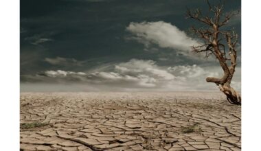 ozono sluoksnio nykimas grasina Žemei ir jos gyvybei