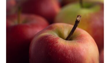 česnakų sodinimas šalia medžių