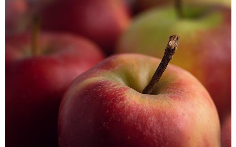 česnakų sodinimas šalia medžių